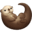 🦦